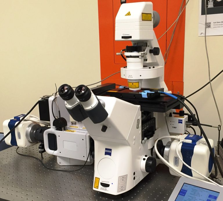 Zeiss Cell Observer Spinning Disk Confocal Microscope Advanced Light